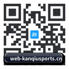 系统版 iOS 二维码
